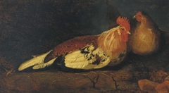 A Rooster and a Hen by Aelbert Cuyp