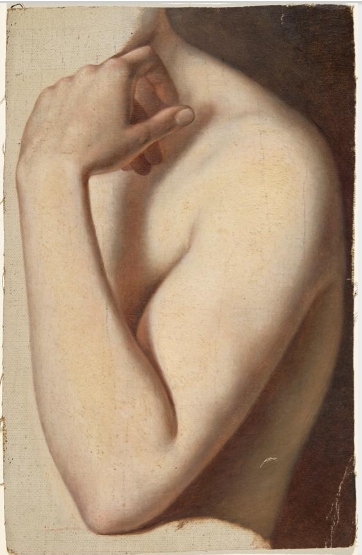 Arm and Shoulder of Nude Model