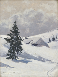 Baldenweger Hut on the Feldberg by Hermann Dischler