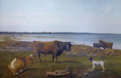 Beach picture with cattle