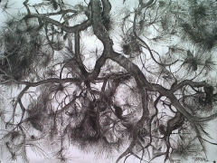 Branches by Miguel Angel Oyarbide