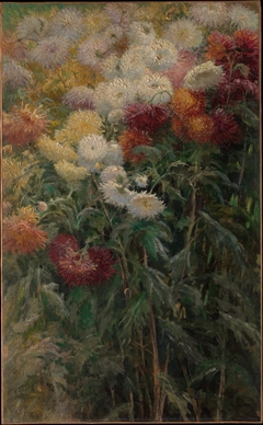 Chrysanthemums in the Garden at Petit-Gennevilliers by Gustave Caillebotte