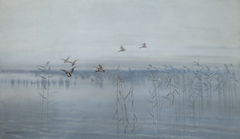 Ducks over Swamps by Stanisław Masłowski
