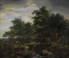 Forest scene by Jacob Isaacksz. van Ruisdael