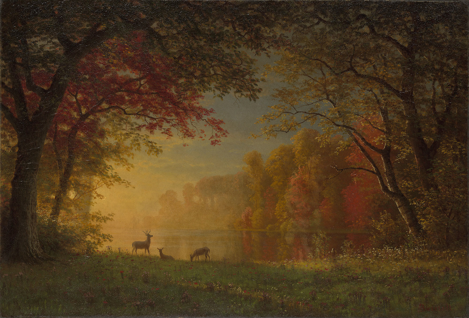 Indian Sunset: Deer by a Lake