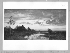 marshy-landscape with 2 roes in the evening by Eduard Schleich