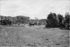 Meadow with a Black Horse Grazing by Lorenz Frølich