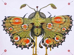 moth by federico cortese