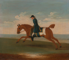 One of Four Portraits of Horses - a Chestnut Racehorse Exercised by a Trainer in a Blue Coat: galloping to the left, the horse wearing blue sweat cover and saddle-cloth edged with gold by Anonymous