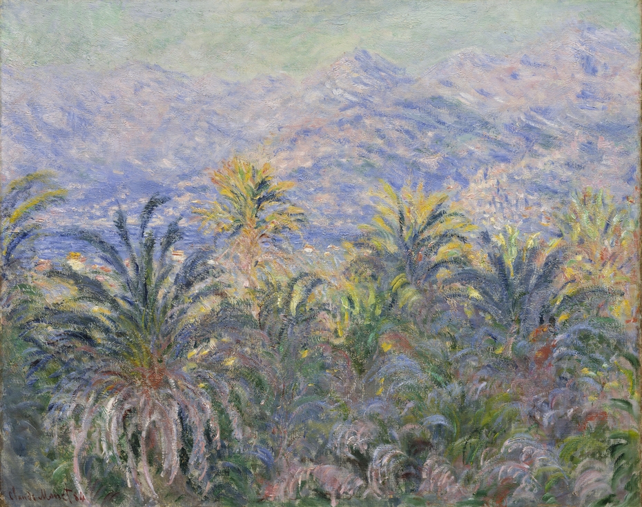 Palm Trees at Bordighera