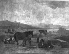 Pferdeweide am Starnberger See