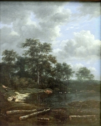 Pond at Forest Edge