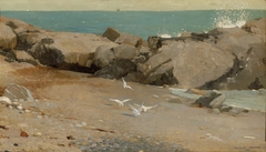 Rocky Coast and Gulls by Winslow Homer