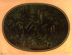 Shore of the Trombetas by George Catlin