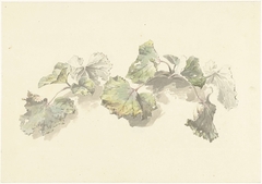 Studie van bladeren by Josephus Augustus Knip