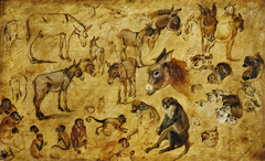 Studies of animals (donkeys, cats and monkeys)
