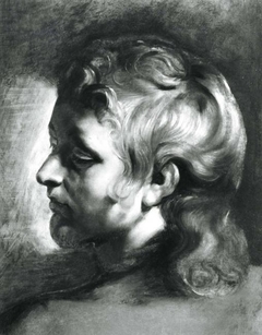 Study of the head of a young man turned to the left, 1611-1612 by Peter Paul Rubens