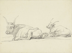 Twee liggende koeien met lange horens