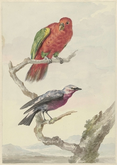 Twee vogels, waaronder een rood-groene papegaai by Aert Schouman