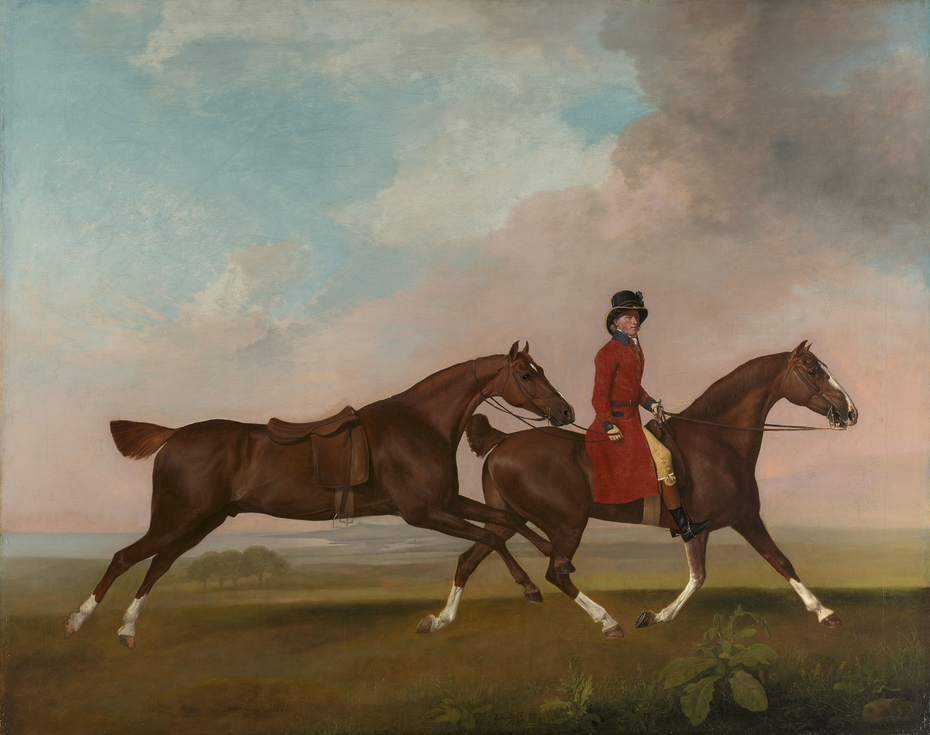 William Anderson with two Saddle-Horses