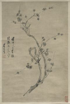A Cut Branch of Blossoming Plum by Chen Jiru