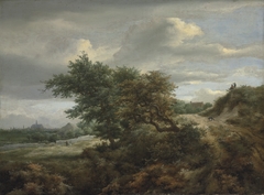 A path on a wooded rise, Haarlem in the distance by Jacob van Ruisdael