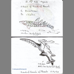 Carnet Bleu: Encyclopedia of…shark, vol.IV p03 by Pascal by Pascal Lecocq
