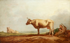 Cows at Pasture