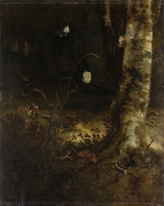 Forest Floor with a Snake, Lizards, Butterflies and other Insects by Otto Marseus van Schrieck
