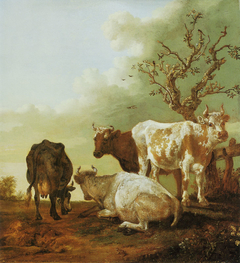 Four Cattle