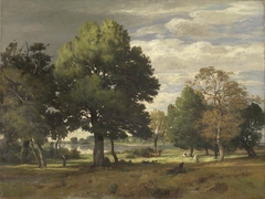 Landschaft (Baumpartie bei Fürstenfeldbruck) by Otto Frölicher