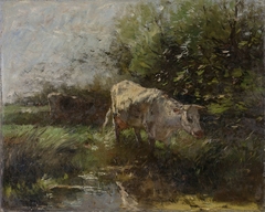 Meadow with Cows