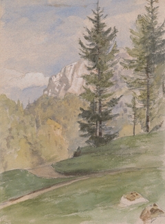 Mountain Landscape with Coniferous Trees