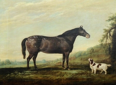 'Mouse' a Grey Pony and a Spaniel in a Landscape by Thomas Weaver