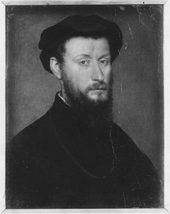Portrait of a Bearded Man by Corneille de Lyon