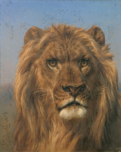 Portrait of a Lion - Prado by Rosa Bonheur