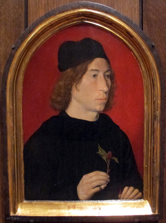Portrait of a Young Man Holding a Sprig of Cockscomb by Anonymous