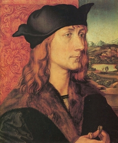 Portrait of Hans Tucher by Albrecht Dürer