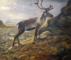 Reindeer by Johan Christian Dahl