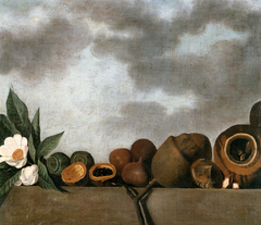 Still-life of various of Brazilian nuts by Albert Eckhout