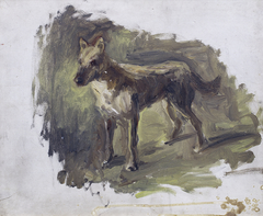 Studie van een hond by Jozef Israëls