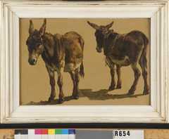 Studie van twee ezels by Johannes Hubertus Leonardus de Haas