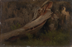 Study of a decaying Trunk