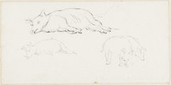 Twee studies van een liggend varken en twee staande varkens by Pieter Bartholomeusz Barbiers