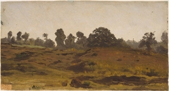 ''View of a Field''