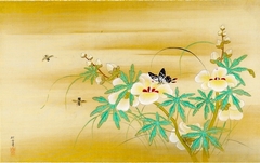 White Tree Hibiscus with Black Butterfly and Bees by Kanō Tansetsu