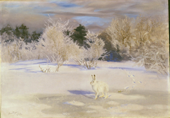 Winterlandschap met sneeuwhaas by Bruno Liljefors