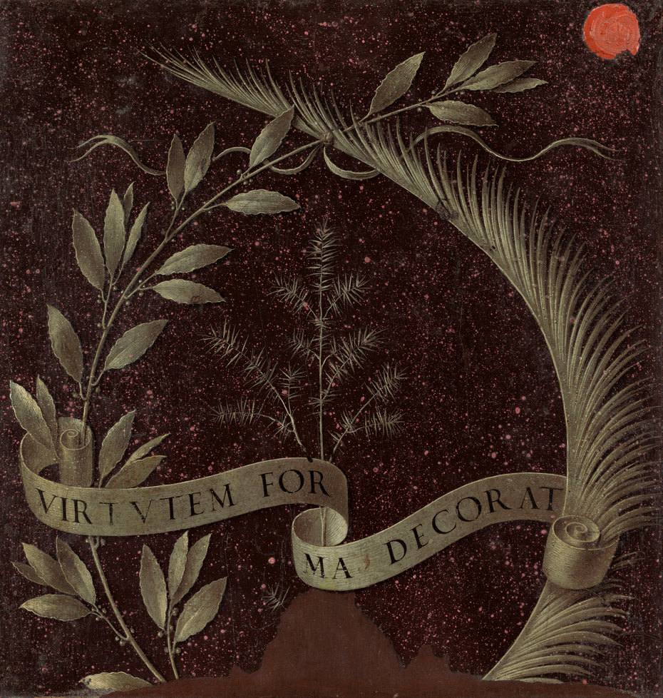 Wreath of Laurel, Palm, and Juniper with a Scroll inscribed Virtutem Forma Decorat [reverse]