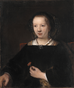 Young Woman with a Carnation by Willem Drost
