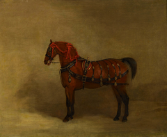 A Bay Carriage-Horse by Richard Barrett Davis